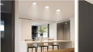 Round Surface Panel Light