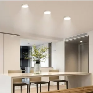 Round Surface Panel Light