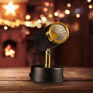 Small Adjustable Base-Mounted Spot