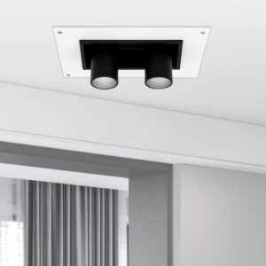 Recessed Double Spot