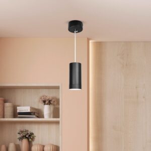 Cylindrical Pendant Downlight