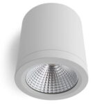 Surface-Mounted COB Spot Light