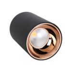 Cylindrical Down Light
