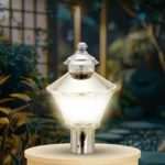 Victoria Gale Light – Elegance in Every Beam