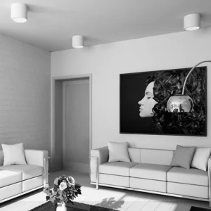 Surface-Mounted COB Spot Light